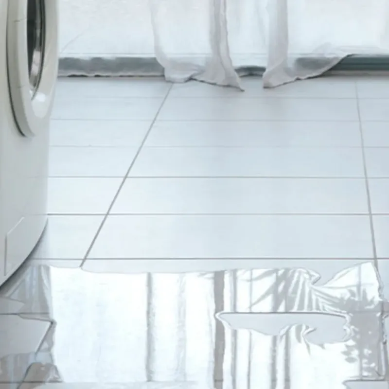 Appliance Leak Cleanup in Republic, WA