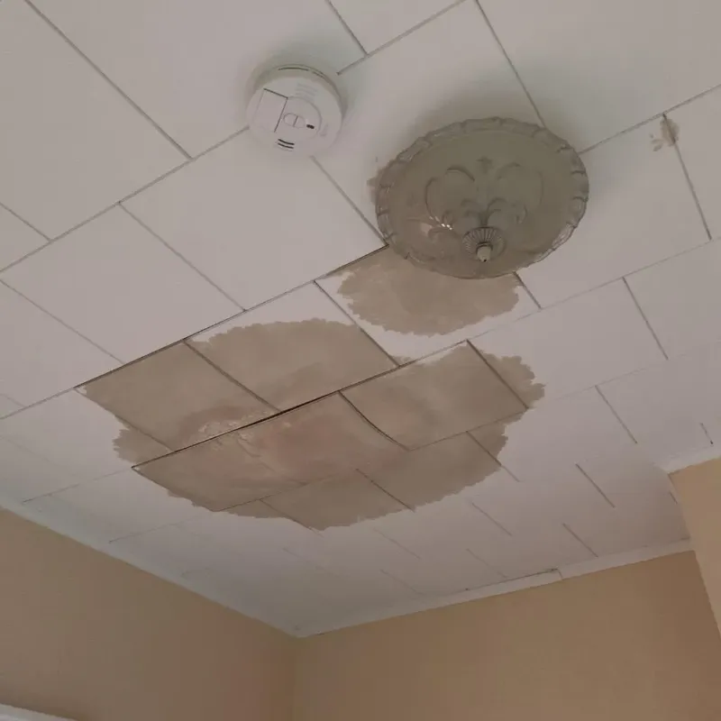 Ceiling Water Damage Repair in Republic, WA