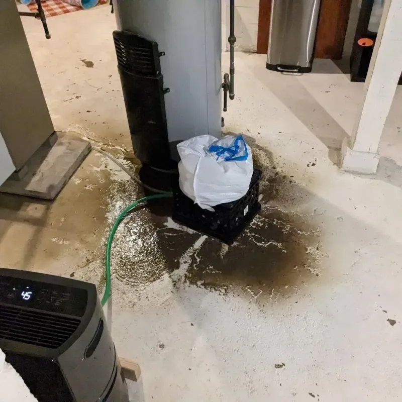 Sewage Backup Cleanup Service in Republic, WA